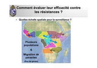 CommentComment éévaluer leur efficacitvaluer leur efficacitéé contrecontre
les rles réésistances ?sistances ?
• Quelles échelle spatiale pour la surveillance ?
Plusieurs
populations
&
Migration de
parasites
(flux de gènes)
 