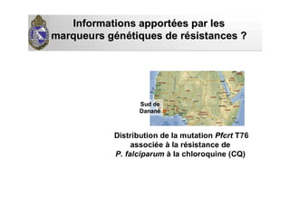 Informations apportInformations apportéées par leses par les
marqueurs gmarqueurs géénnéétiques de rtiques de réésistances ?sistances ?
Distribution de la mutation Pfcrt T76
associée à la résistance de
P. falciparum à la chloroquine (CQ)
Sud deSud de
DananDananéé
 