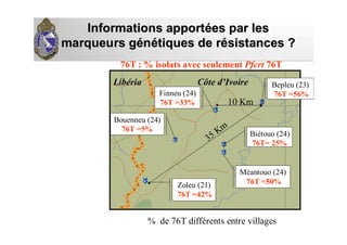 Informations apportInformations apportéées par leses par les
marqueurs gmarqueurs géénnéétiques de rtiques de réésistances ?sistances ?
Distribution de la mutation Pfcrt T76
associée à la résistance de
P. falciparum à la chloroquine (CQ)
LibLibéériaria Côte dCôte d’’IvoireIvoire
10 Km
35 Km
% de 76T différents entre villages
76T : % isolats avec seulement Pfcrt 76T
Bepleu (23)
76T =56%
Méantouo (24)
76T =50%
Finneu (24)
76T =33%
Biétouo (24)
76T= 25%
Zoleu (21)
76T =42%
Bouenneu (24)
76T =5%
 