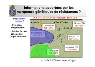 Informations apportInformations apportéées par leses par les
marqueurs gmarqueurs géénnéétiques de rtiques de réésistances ?sistances ?
Distribution de la mutation Pfcrt T76
associée à la résistance de
P. falciparum à la chloroquine (CQ)
Sud deSud de
DananDananéé
LibLibéériaria Côte dCôte d’’IvoireIvoire
10 Km
35 Km
% de 76T différents entre villages
76T : % isolats avec seulement Pfcrt 76T
Bepleu (23)
76T =56%
Méantouo (24)
76T =50%
Finneu (24)
76T =33%
Biétouo (24)
76T= 25%
Zoleu (21)
76T =42%
Bouenneu (24)
76T =5%
Populations
Isolées ?
- Évolution
indépendante
- Faibles flux de
gènes entre
populations P.f.
 