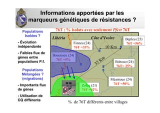 Informations apportInformations apportéées par leses par les
marqueurs gmarqueurs géénnéétiques de rtiques de réésistances ?sistances ?
Distribution de la mutation Pfcrt T76
associée à la résistance de
P. falciparum à la chloroquine (CQ)
Sud deSud de
DananDananéé
LibLibéériaria Côte dCôte d’’IvoireIvoire
10 Km
35 Km
% de 76T différents entre villages
76T : % isolats avec seulement Pfcrt 76T
Bepleu (23)
76T =56%
Méantouo (24)
76T =50%
Finneu (24)
76T =33%
Biétouo (24)
76T= 25%
Zoleu (21)
76T =42%
Bouenneu (24)
76T =5%
Populations
Isolées ?
- Évolution
indépendante
- Faibles flux de
gènes entre
populations P.f.
Populations
Mélangées ?
(migrations)
- Importants flux
de gènes
- Utilisation de
CQ différente
 