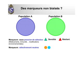 Des marqueurs non biaisDes marqueurs non biaiséés ?s ?
Population A Population B
Marqueurs sous pression de sélection
(Médicaments, immunité… modifications
environnementales)
Sensible Résitant
Marqueurs sélectivement neutres
 