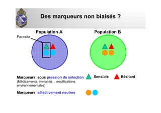 Des marqueurs non biaisDes marqueurs non biaiséés ?s ?
Population A Population B
Marqueurs sous pression de sélection
(Médicaments, immunité… modifications
environnementales)
Sensible Résitant
Marqueurs sélectivement neutres
Parasite
 
