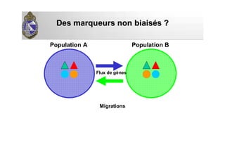 Des marqueurs non biaisDes marqueurs non biaiséés ?s ?
Population A Population B
Flux de gènes
Migrations
 