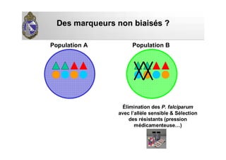 Des marqueurs non biaisDes marqueurs non biaiséés ?s ?
Population A Population B
Élimination des P. falciparum
avec l’allèle sensible & Sélection
des résistants (pression
médicamenteuse…)
 