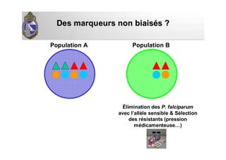 Des marqueurs non biaisDes marqueurs non biaiséés ?s ?
Population A Population B
Élimination des P. falciparum
avec l’allèle sensible & Sélection
des résistants (pression
médicamenteuse…)
 