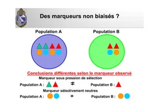 Des marqueurs non biaisDes marqueurs non biaiséés ?s ?
Population A Population B
Conclusions différentes selon le marqueur observé
Marqueur sous pression de sélection
Population A : ≠ Population B :
Marqueur sélectivement neutres
Population A : = Population B :
 