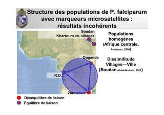 Structure des populations de P. falciparumStructure des populations de P. falciparum
avec marqueurs microsatellites :avec marqueurs microsatellites :
rréésultats incohsultats incohéérentsrents
PopulationsPopulations
homoghomogèènesnes
((Afrique centrale,Afrique centrale,
Anderson, 2000Anderson, 2000))
DissimilitudeDissimilitude
VillagesVillages——VilleVille
(Soudan(Soudan AbdelAbdel--MuhsinMuhsin, 2002, 2002))
ZimbabweZimbabwe
SoudanSoudan
Khartoum vs. villagesKhartoum vs. villages
R.D.C.R.D.C.
OugandaOuganda
DDééssééquilibre de liaisonquilibre de liaison
Equilibre de liaisonEquilibre de liaison
 