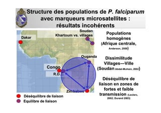 Structure des populations deStructure des populations de P. falciparumP. falciparum
avec marqueurs microsatellites :avec marqueurs microsatellites :
rréésultats incohsultats incohéérentsrents
PopulationsPopulations
homoghomogèènesnes
((Afrique centrale,Afrique centrale,
Anderson, 2000Anderson, 2000))
DissimilitudeDissimilitude
VillagesVillages——VilleVille
(Soudan(Soudan AbdelAbdel--MuhsinMuhsin, 2002, 2002))
DDééssééquilibre dequilibre de
liaison en zones deliaison en zones de
fortes et faiblefortes et faible
transmissiontransmission (Leclerc,(Leclerc,
2002; Durand 2003)2002; Durand 2003)
ZimbabweZimbabwe
SoudanSoudan
Khartoum vs. villagesKhartoum vs. villages
R.D.C.R.D.C.
OugandaOuganda
DakarDakar
DDééssééquilibre de liaisonquilibre de liaison
Equilibre de liaisonEquilibre de liaison
CongoCongo
 