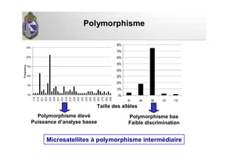 PolymorphismePolymorphisme
0%
5%
10%
15%
20%
25%
118
218
221
223
225
228
231
233
235
237
239
242
245
252
255
259
263
270
283
326
Frequency
0%
10%
20%
30%
40%
50%
60%
70%
80%
91 94 98 101 110
Polymorphisme élevé
Puissance d’analyse basse
Polymorphisme bas
Faible discrimination
Taille des allèles
Microsatellites à polymorphisme intermédiaire
 
