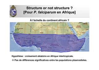 À l’échelle du continent africain ?
Structure or not structure ?Structure or not structure ?
[Pour[Pour P. falciparumP. falciparum en Afrique]en Afrique]
Hypothèse : croisement aléatoire en Afrique intertropicale.
Pas de différences significatives entre les populations plasmodiales.
 