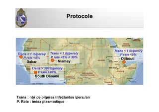 ProtocoleProtocole
Trans < 1Trans < 1 Ib/pers/yIb/pers/y
P rate <5%P rate <5%
DjiboutiDjibouti
Trans < 1Trans < 1 Ib/pers/yIb/pers/y
P rate <5%P rate <5%
DakarDakar
Trans < 1Trans < 1 Ib/pers/yIb/pers/y
P rate <5%P rate <5% 30%30%
NiameyNiamey
Trans > 300Trans > 300 b/pers/yb/pers/y
P rate >80%P rate >80%
SouthSouth DananDananéé
Trans : nbr de piqures infectantes /pers./an
P. Rate : index plasmodique
 