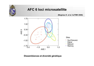 AFC 6AFC 6 lociloci microsatellitemicrosatellite
-3.0 -1.5 0.0 1.5
AXE I
-1.70
-1.02
-0.34
0.34
1.02
1.70
AXEII
Niamey
Djibouti
Dakar
Sud Danané
Sites
Dissemblances et diversité génétique
(Bogreau H. et al. AJTMH 2006)
 