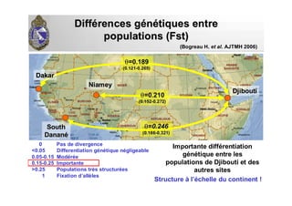 DiffDifféérences grences géénnéétiques entretiques entre
populations (populations (FstFst))
Importante différentiation
génétique entre les
populations de Djibouti et des
autres sites
Structure à l’échelle du continent !
θθ==0.1890.189
(0.121(0.121--0.265)0.265)
θθ==0.2100.210
(0.152(0.152--0.272)0.272)
θθ==0.2460.246
(0.166(0.166--0.321)0.321)
DjiboutiDjibouti
DakarDakar
SouthSouth
DananDananéé
NiameyNiamey
0 Pas de divergence
<0.05 Differentiation génétique négligeable
0.05-0.15 Modérée
0.15-0.25 Importante
>0.25 Populations très structurées
1 Fixation d’allèles
(Bogreau H. et al. AJTMH 2006)
 