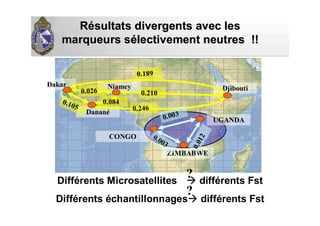 RRéésultats divergents avec lessultats divergents avec les
marqueurs smarqueurs séélectivement neutres !!lectivement neutres !!
ZIMBABWE
Dakar
DjiboutiNiamey
Danané
CONGO
UGANDA0.003
0.003
0.012
0.189
0.026
0.105
0.210
0.246
0.084
Différents Microsatellites différents Fst
Différents échantillonnages différents Fst
?
?
 
