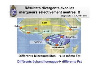 RRéésultats divergents avec lessultats divergents avec les
marqueurs smarqueurs séélectivement neutres !!lectivement neutres !!
ZIMBABWE
Dakar
Djibouti
CONGO
UGANDA0.003
0.003
0.012
0.189
Différents Microsatellites le même Fst
Différents échantillonnages différents Fst
0.193
(Bogreau H. et al. AJTMH 2006)
 
