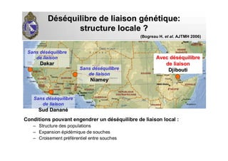 DDééssééquilibre de liaison gquilibre de liaison géénnéétique:tique:
structure locale ?structure locale ?
Conditions pouvant engendrer un déséquilibre de liaison local :
– Structure des populations
– Expansion épidémique de souches
– Croisement préférentiel entre souches
Sans dSans dééssééquilibrequilibre
de liaisonde liaison
SudSud DananDananéé
Sans dSans dééssééquilibrequilibre
de liaisonde liaison
NiameyNiamey
Sans dSans dééssééquilibrequilibre
de liaisonde liaison
DakarDakar
Avec dAvec dééssééquilibrequilibre
de liaisonde liaison
DjiboutiDjibouti
(Bogreau H. et al. AJTMH 2006)
 