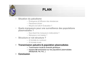 PLANPLAN
• Situation du paludisme
– Émergence & Diffusion des résistances
– Paludisme Urbain
– Moyens de lutte Évaluation ?
• Quels marqueurs pour une surveillance des populations
plasmodiales ?
– Que disent les marqueurs moléculaires ?
– Marqueurs non biaisés ?
• Structure or not structure ?
– À l’échelle du continent
– À l’échelle locale
• Transmission palustre & population plasmodiales
– Transmission locale & diversité génétique…
– Impacte transmission sur les populations plasmodiales
(Multiplicité, He, Fst,..)
• Conclusion
 
