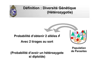 DDééfinition : Diversitfinition : Diversitéé GGéénnéétiquetique
(H(Hééttéérozygotie)rozygotie)
Probabilité d’obtenir 2 allèles =
Avec 2 tirages au sort
(Probabilité d’avoir un hétérozygote
si diploïde)
Population
de Parasites
 
