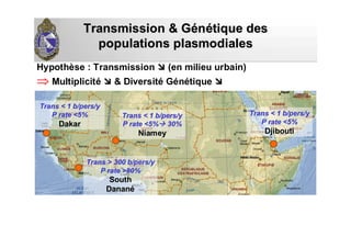 Transmission & GTransmission & Géénnéétique destique des
populationspopulations plasmodialesplasmodiales
Hypothèse : Transmission (en milieu urbain)
⇒ Multiplicité & Diversité Génétique
Trans < 1Trans < 1 b/pers/yb/pers/y
P rate <5%P rate <5%
DjiboutiDjibouti
Trans < 1Trans < 1 b/pers/yb/pers/y
P rate <5%P rate <5%
DakarDakar
Trans > 300Trans > 300 b/pers/yb/pers/y
P rate >80%P rate >80%
SouthSouth
DananDananéé
Trans < 1Trans < 1 b/pers/yb/pers/y
P rate <5%P rate <5% 30%30%
NiameyNiamey
 
