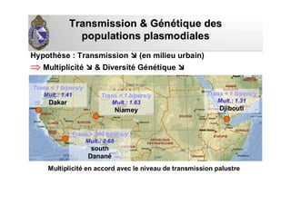 Transmission & GTransmission & Géénnéétique destique des
populationspopulations plasmodialesplasmodiales
Hypothèse : Transmission (en milieu urbain)
⇒ Multiplicité & Diversité Génétique
Multiplicité en accord avec le niveau de transmission palustre
TransTrans < 1 b/pers/y< 1 b/pers/y
MultMult.: 1.31.: 1.31
DjiboutiDjibouti
TransTrans < 1 b/pers/y< 1 b/pers/y
MultMult.: 1.41.: 1.41
DakarDakar
TransTrans > 300 b/pers/y> 300 b/pers/y
MultMult.: 2.68.: 2.68
southsouth
DananDananéé
TransTrans < 1 b/pers/y< 1 b/pers/y
MultMult.: 1.63.: 1.63
NiameyNiamey
 