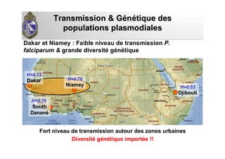 Transmission & GTransmission & Géénnéétique destique des
populationspopulations plasmodialesplasmodiales
Fort niveau de transmission autour des zones urbaines
Diversité génétique importée !!
Dakar et Niamey : Faible niveau de transmission P.
falciparum & grande diversité génétique
H=0.53H=0.53
DjiboutiDjibouti
H=0.76H=0.76
SouthSouth
DananDananéé
H=0.76H=0.76
NiameyNiamey
H=0.73H=0.73
DakarDakar
 