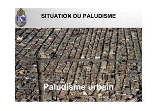 SITUATION DU PALUDISMESITUATION DU PALUDISME
Paludisme urbain
 