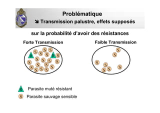 sur la probabilité d’avoir des résistances
Transmission palustre,Transmission palustre, effets supposés
S
S
SS
R RS
S
S
S
S
S
S
S
SS
S
S
S
S
S
S
S
S S
S
S
Faible Transmission
ProblProbléématiquematique
R
S
Parasite muté résistant
Parasite sauvage sensible
Forte Transmission
 