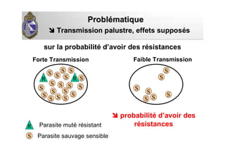sur la probabilité d’avoir des résistances
Transmission palustre,Transmission palustre, effets supposés
S
S
SS
R RS
S
S
S
S
S
S
S
SS
S
S
S
S
S
S
S
S S
S
S
Faible Transmission
ProblProbléématiquematique
probabilité d’avoir des
résistancesR
S
Parasite muté résistant
Parasite sauvage sensible
Forte Transmission
 