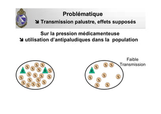 Sur la pression médicamenteuse
utilisation d’antipaludiques dans la population
ProblProbléématiquematique
Transmission palustre,Transmission palustre, effets supposés
S
S
SS
R RS
S
S
S
S
S
S
S
SS
S
S
S
S
S
S
S
R
S
S
SS S
S
Faible
Transmission
 