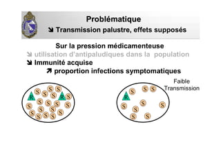 Sur la pression médicamenteuse
utilisation d’antipaludiques dans la population
Immunité acquise
proportion infections symptomatiques
ProblProbléématiquematique
Transmission palustre,Transmission palustre, effets supposés
S
S
SS
R RS
S
S
S
S
S
S
S
SS
S
S
S
S
S
S
S
R
S
S
SS S
S
Faible
Transmission
 