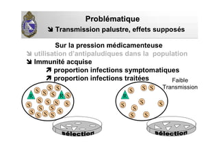 Sur la pression médicamenteuse
utilisation d’antipaludiques dans la population
Immunité acquise
proportion infections symptomatiques
proportion infections traitées
ProblProbléématiquematique
Transmission palustre,Transmission palustre, effets supposés
S
S
SS
R RS
S
S
S
S
S
S
S
SS
S
S
S
S
S
S
S
R
S
S
SS S
S
Faible
Transmission
 