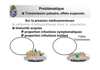 Sur la pression médicamenteuse
utilisation d’antipaludiques dans la population
Immunité acquise
proportion infections symptomatiques
proportion infections traitées
ProblProbléématiquematique
Transmission palustre,Transmission palustre, effets supposés
S
S S S
R
R SSSSSS S S
S
S S SS
S
SS SSS S
S
SS
R
Faible
Transmission
 