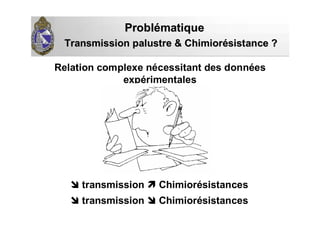 Relation complexe nécessitant des données
expérimentales
Transmission palustre & ChimiorTransmission palustre & Chimioréésistance ?sistance ?
ProblProbléématiquematique
transmission Chimiorésistances
transmission Chimiorésistances
 