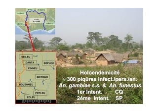 MEANTOUOMEANTOUO
ZOLEUZOLEU
PEPLEUPEPLEU
BEPLEUBEPLEU
BOUENNEUBOUENNEU
SEILEUSEILEU
DANTADANTA
FINNEUFINNEU
BIETOUOBIETOUO
COTECOTE
DD’’IVOIREIVOIRE
LIBERIALIBERIA
GUINEEGUINEE
GHANAGHANA
BURKINABURKINAMALIMALI
HoloendemicitHoloendemicitéé
≈≈ 300 piq300 piqûûres infect./pers./an.res infect./pers./an.
An.An. gambiaegambiae s.s. & An.s.s. & An. funestusfunestus
1er1er IntentIntent.. CQCQ
22éémeme IntentIntent. SP. SP
 
