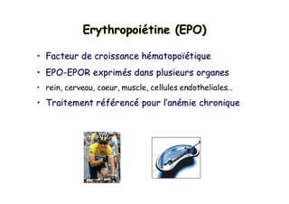 Erythropoiétine (EPO)ErythropoiErythropoiéétinetine (EPO)(EPO)
• Facteur de croissance hématopoïétique
• EPO-EPOR exprimés dans plusieurs organes
• rein, cerveau, coeur, muscle, cellules endotheliales…
• Traitement référencé pour l’anémie chronique
•• FacteurFacteur dede croissancecroissance hhéématopomatopoïéïétiquetique
•• EPOEPO--EPOREPOR exprimexprimééss dansdans plusieursplusieurs organesorganes
•• rein,rein, cerveaucerveau,, coeurcoeur, muscle, cellules, muscle, cellules endothelialesendotheliales……
•• TraitementTraitement rrééfféérencrencéé pourpour ll’’ananéémiemie chroniquechronique
 