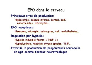 EPO dans le cerveauEPO dans le cerveauEPO dans le cerveau
Principaux sites de production:
Hippocampe, capsule interne, cortex, cell.
endothéliales, astrocytes…
EPO recepteurs:
Neurones, microglie, astrocytes, cell. endotheliales…
Regulation par hypoxie:
Hypoxia inducible factor 1 (HIF-1)
Hypoglycémie, reactive oxygen species, TNF…
Favorise la production de progéniteurs neuronaux
et agit comme facteur neurotrophique
PrincipauxPrincipaux sites de production:sites de production:
HippocampeHippocampe, capsule interne, cortex, cell., capsule interne, cortex, cell.
endothendothéélialesliales,, astrocytesastrocytes……
EPOEPO recepteursrecepteurs::
NeuronesNeurones,, microgliemicroglie,, astrocytesastrocytes, cell., cell. endothelialesendotheliales……
Regulation parRegulation par hypoxiehypoxie::
Hypoxia inducible factor 1 (HIFHypoxia inducible factor 1 (HIF--1)1)
HypoglycHypoglycéémiemie, reactive oxygen species, TNF, reactive oxygen species, TNF……
FavoriseFavorise la production dela production de progprogééniteursniteurs neuronauxneuronaux
etet agitagit commecomme facteurfacteur neurotrophiqueneurotrophique
 