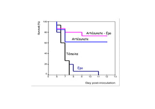 Day post-inoculation
1312111098765
Survival(%)
100
80
60
40
20
0
Day post-inoculation
1312111098765
Survival(%)
100
80
60
40
20
0
Artésunate - Epo
Artésunate
Témoins
Epo
 