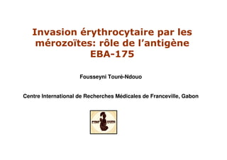 Invasion érythrocytaire par les
mérozoïtes: rôle de l’antigène
EBA-175
Fousseyni Touré-Ndouo
Centre International de Recherches Médicales de Franceville, Gabon
 