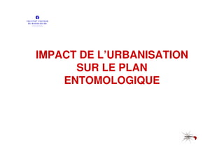 IMPACT DE L’URBANISATION
      SUR LE PLAN
    ENTOMOLOGIQUE
 