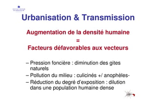 Urbanisation & Transmission
 Augmentation de la densité humaine
                 =
 Facteurs défavorables aux vecteurs

 – Pression foncière : diminution des gites
   naturels
 – Pollution du milieu : culicinés +/ anophèles-
 – Réduction du degré d’exposition : dilution
   dans une population humaine dense
 