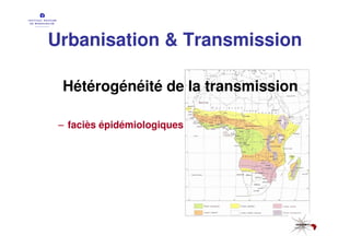Urbanisation & Transmission

 Hétérogénéité de la transmission

 – faciès épidémiologiques
 