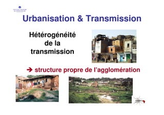 Urbanisation & Transmission
 Hétérogénéité
     de la
 transmission

  structure propre de l’agglomération
 