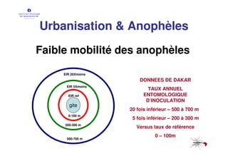 Urbanisation & Anophèles
Faible mobilité des anophèles

     EIR 20Xmoins
                        DONNEES DE DAKAR
      EIR 5Xmoins
                            TAUX ANNUEL
       EIR ref            ENTOMOLOGIQUE
                           D’INOCULATION
        gite
                    20 fois inférieur – 500 à 700 m
       0-100 m
                     5 fois inférieur – 200 à 300 m
     200-300 m
                       Versus taux de référence
                               0 – 100m
      500-700 m
 