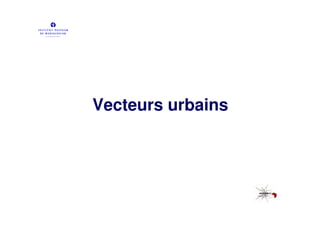 Vecteurs urbains
 