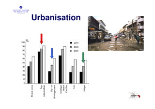 Urbanisation

%
 