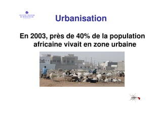 Urbanisation

En 2003, près de 40% de la population
    africaine vivait en zone urbaine
 