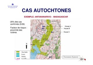 CAS AUTOCHTONES
               EXEMPLE: ANTANANARIVO - MADAGASCAR

20% des cas
confirmés (5/26)
Facteur de risque :
proximité des
rizières
 