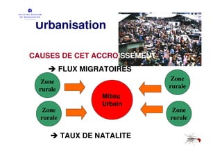 Urbanisation

CAUSES DE CET ACCROISSEMENT:
           FLUX MIGRATOIRES
   Zone                         Zone
  rurale                       rurale
                    Milieu
                    Urbain
   Zone                         Zone
  rurale                       rurale

           TAUX DE NATALITE
 