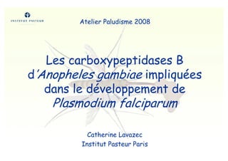 Les carboxypeptidases B
d’Anopheles gambiae impliquées
dans le développement de
Plasmodium falciparum
Catherine Lavazec
Institut Pasteur Paris
Atelier Paludisme 2008
 